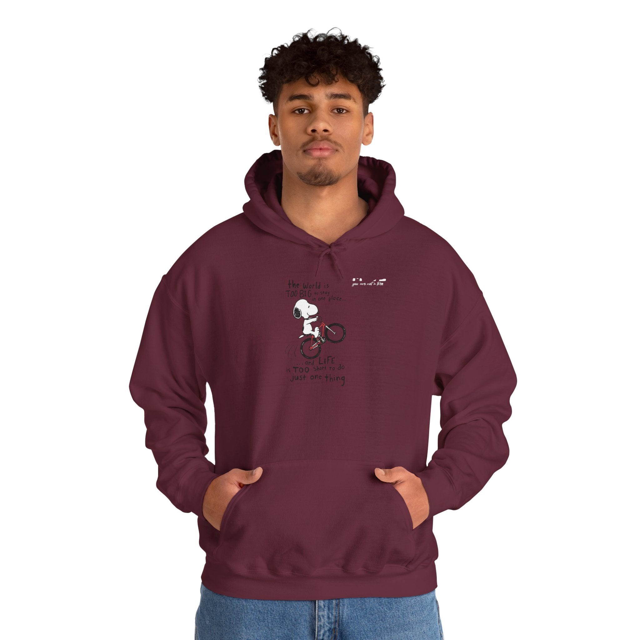 Bicycle Cat Illustration Hoodie | 'the world is too big...a true friend'
