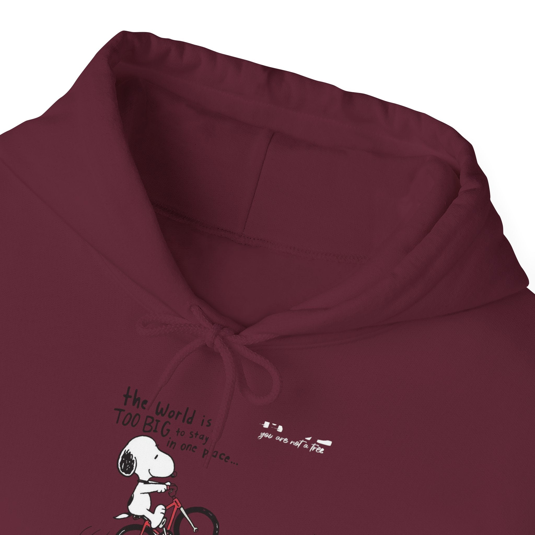 Bicycle Cat Illustration Hoodie | 'the world is too big...a true friend'