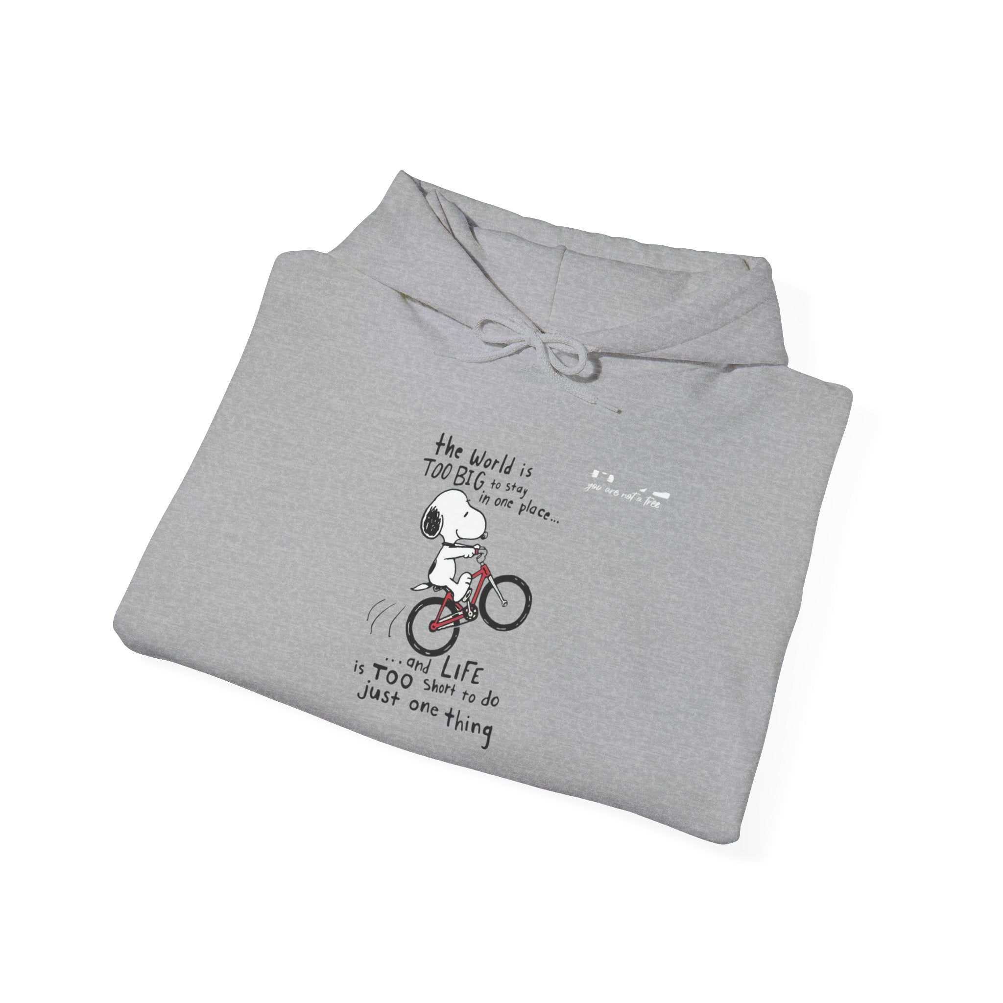 Bicycle Cat Illustration Hoodie | 'the world is too big...a true friend'