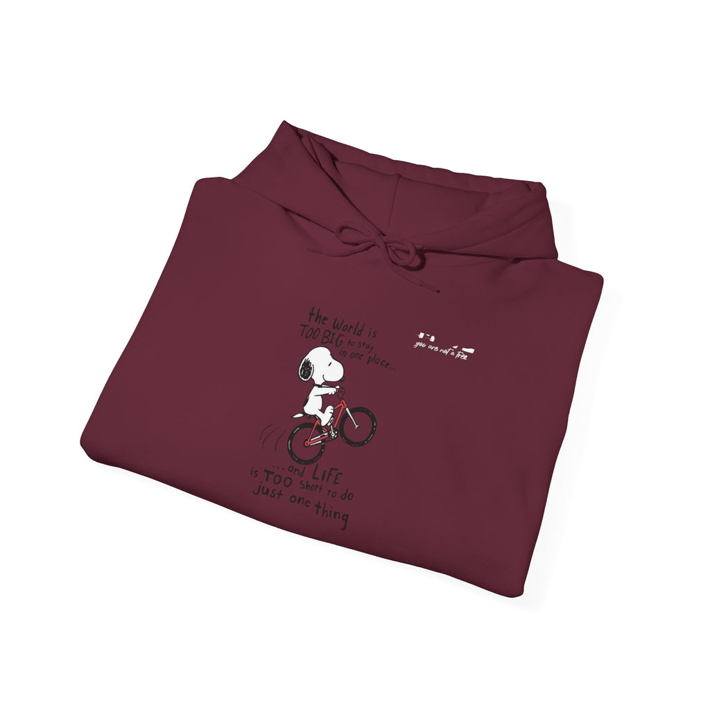 Bicycle Cat Illustration Hoodie | 'the world is too big...a true friend'