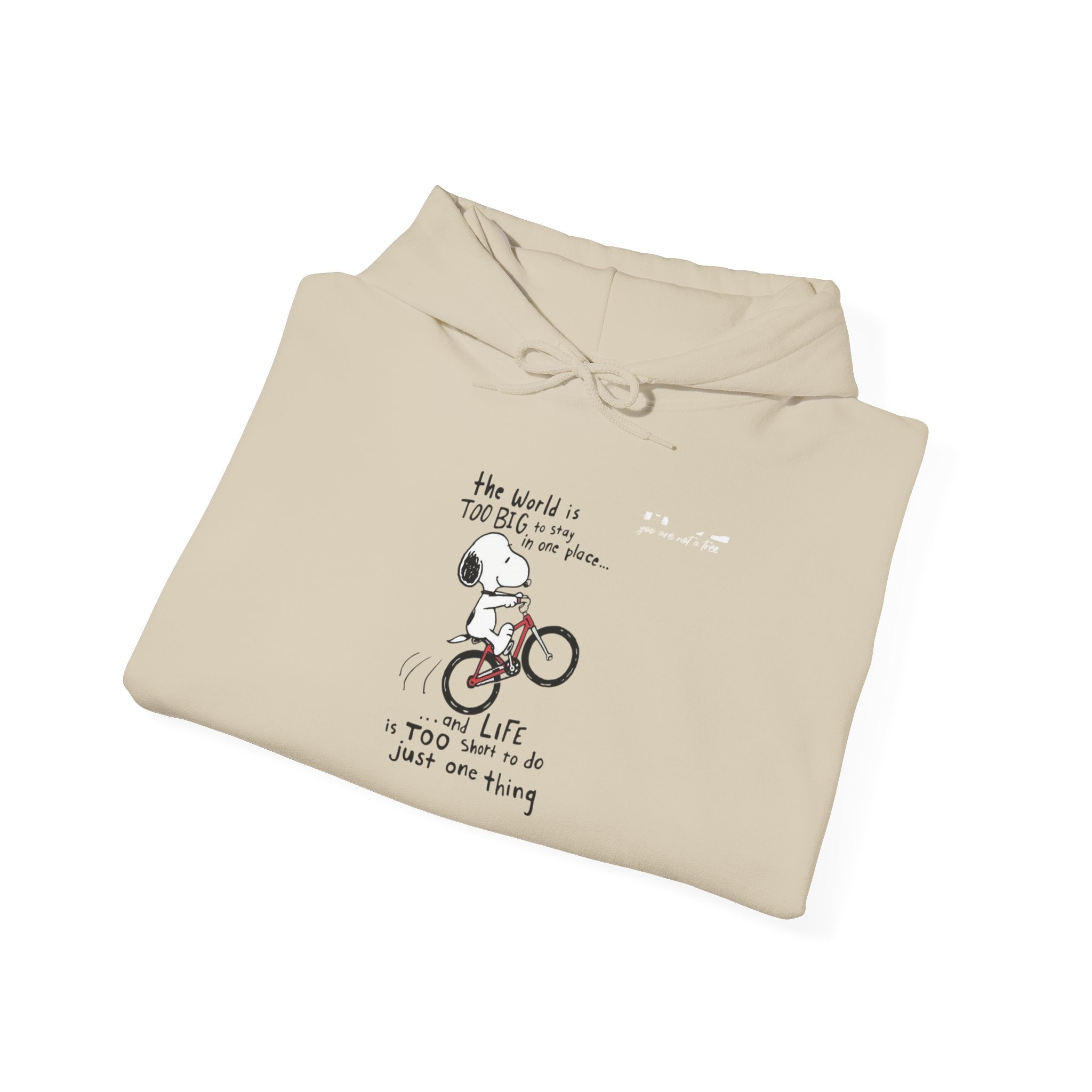 Bicycle Cat Illustration Hoodie | 'the world is too big...a true friend'